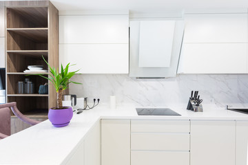 Modern kitchen design interior