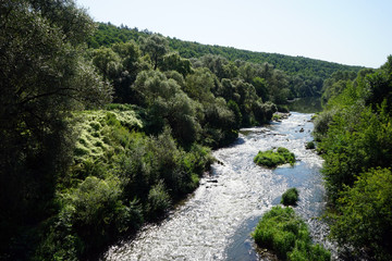 Fototapeta na wymiar River Osetr
