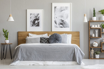 Grey sheets on wooden bed next to table with plant in bedroom interior with posters. Real photo - obrazy, fototapety, plakaty