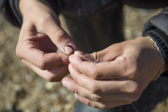 The fisherman puts the worm on the hook