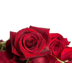 Naklejka premium bouquet of red roses around white background