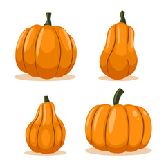 Pumpkin of different shape vector cartoon vegetable set isolated on white background.