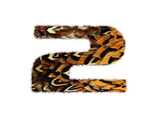 High resolution font made of pheasant feathers pattern isolated on white background.