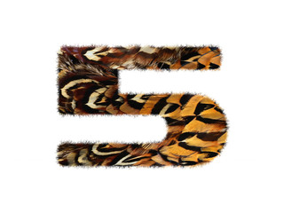 High resolution font made of pheasant feathers pattern isolated on white background.