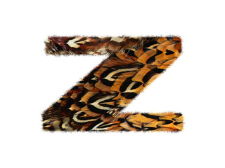 High resolution font made of pheasant feathers pattern isolated on white background.