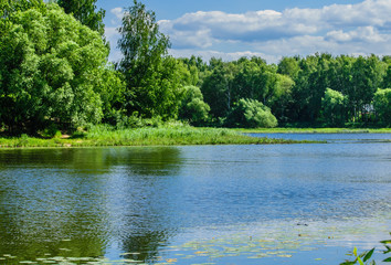 Forest river on a Sunny summer day