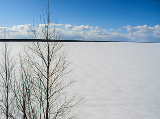 Fototapeta na wymiar The Volga river in the winter cold day