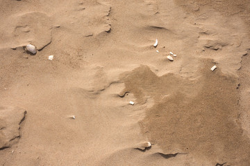  Sand background texture