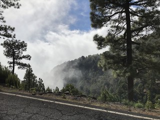 La Palma, Road to the Clouds