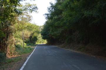 psnorama