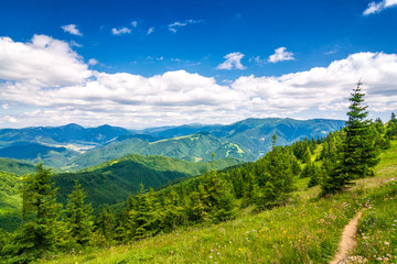 Obraz premium Spring landscape with grassy meadows and the mountain peaks, blue sky with clouds in the background. The Donovaly area in Velka Fatra National Park, Slovakia, Europe.