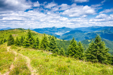 Spring landscape with grassy meadows and the mountain peaks, blue sky with clouds in the background. The Donovaly area in Velka Fatra National Park, Slovakia, Europe.