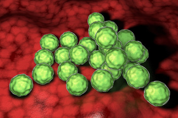 Chlamydia trachomatis bacteria, 3D illustration, the causative agent of chlamydiosis