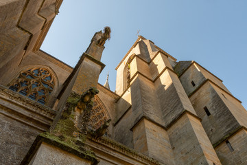 Fototapeta na wymiar Basilique Notre-Dame d'Avioth, gargouilles, Avioth, département Meuse, région Grand Est, France