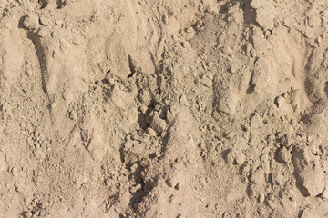 the pile of sand with lumps,texture of dry sand