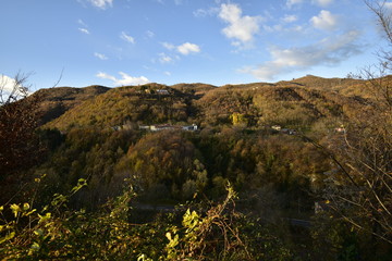 La natura da spettacolo