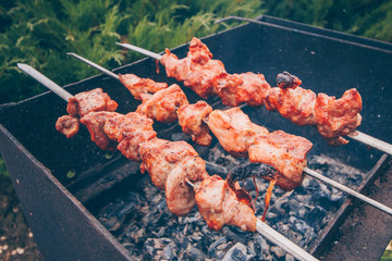 Meat is roasted on hot coals on a hike