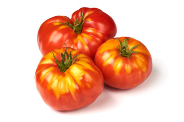 Fresh colorful sweet rustic tomatoes, isolated on white background.