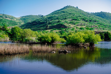 Fototapeta na wymiar Erjos wetland, Los Silos, Tenerife, Canary islands, Spain