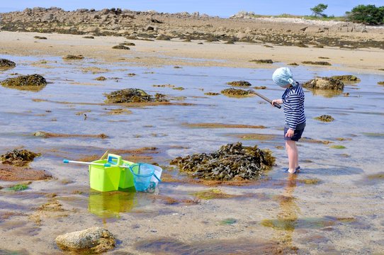 Un petit garçon qui pêche à marée basse en Bretagne