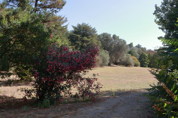 i want to stay here forever