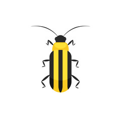 Cucumber Beetle Icon