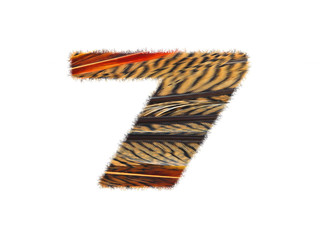 Furry font made of bird feathers pattern isolated on white.