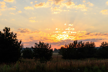 Beautiful sunrise over a green foggy meadow