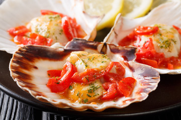 Fresh scallops in a shell with tomato and greens macro on a plate. horizontal
