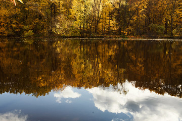 Fototapeta premium Forest lake in autumn. Calm nature background