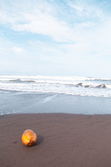 Naklejka premium Caribbean Sea in Tortuguero National Park of Costa Rica