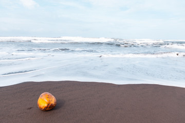 Caribbean Sea in Tortuguero National Park of Costa Rica