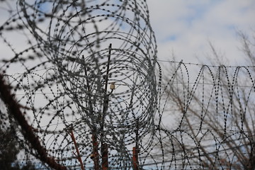 Fence with barbed wire
