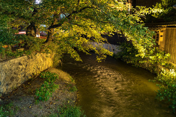 Fototapeta premium 祇園白川（Gion Shirakawa)