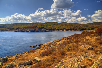 Beautiful landscape on rocky shore