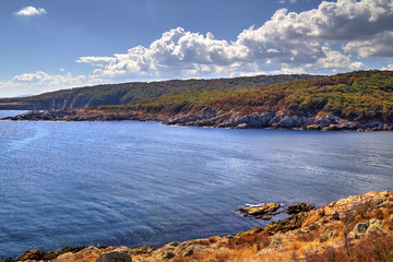Beautiful landscape on rocky shore