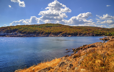 Beautiful landscape on rocky shore