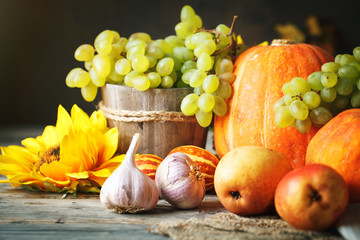 Happy Thanksgiving Day background, wooden table decorated with Pumpkins, Maize, fruits and autumn leaves. Harvest festival. Selective focus. Horizontal.
