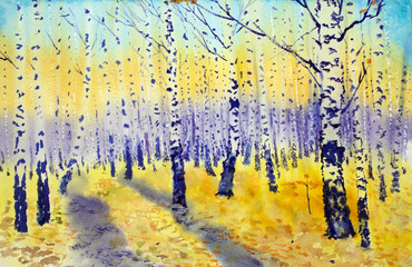 Fototapeta premium autumn birch park