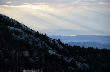 Hills and forest at sunset
