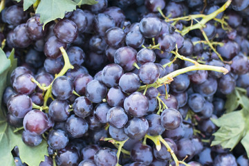 purple grapes close-up