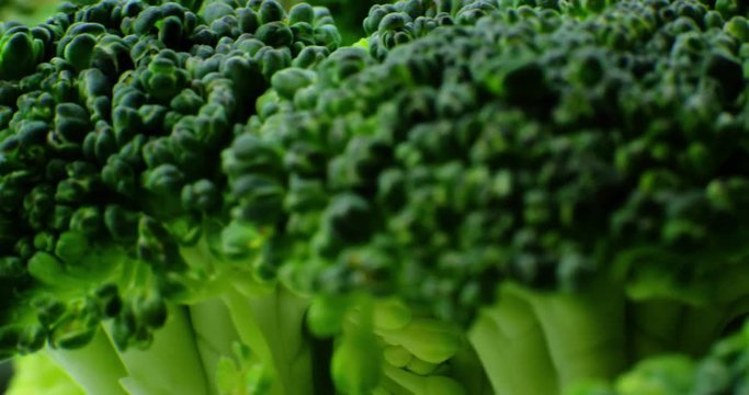 Details of a broccoli floret with a pan. Extremely macro shot with shallow DOF.