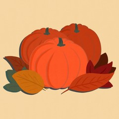 Pumpkin Patch and Fall Leaves