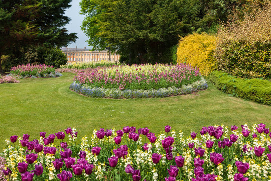 Flower beds in Royal Victoria Park, Bath, England with the famous Royal Crescent seen in the distance behind.