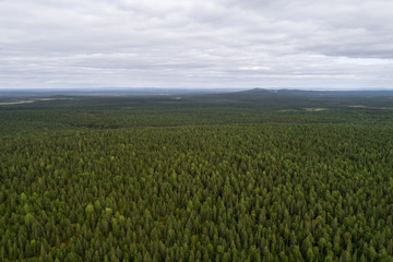 Aerial view of vast boreal forest as far as eye can see