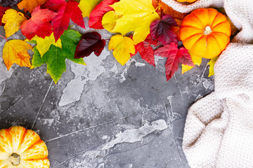 Thanksgiving pumpkins with colorful fall leaves in cosy knitted blanket frame with copy space