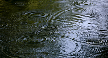 Fototapeta na wymiar Water dropping after rain 