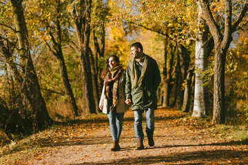 Cheerful couple strolling in autumn