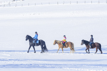 Drei Reiterinnen beim entspannten Ausritt im Schnee
