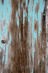 Closeup of Blue Peeling Paint Texture on old gray wood